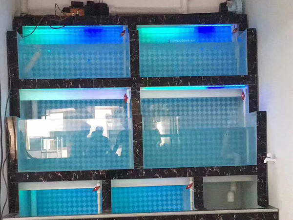海鮮池定制