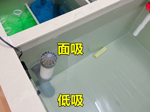 暫養(yǎng)池